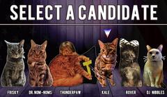Cat President: A More Purrfect Union thumbnail